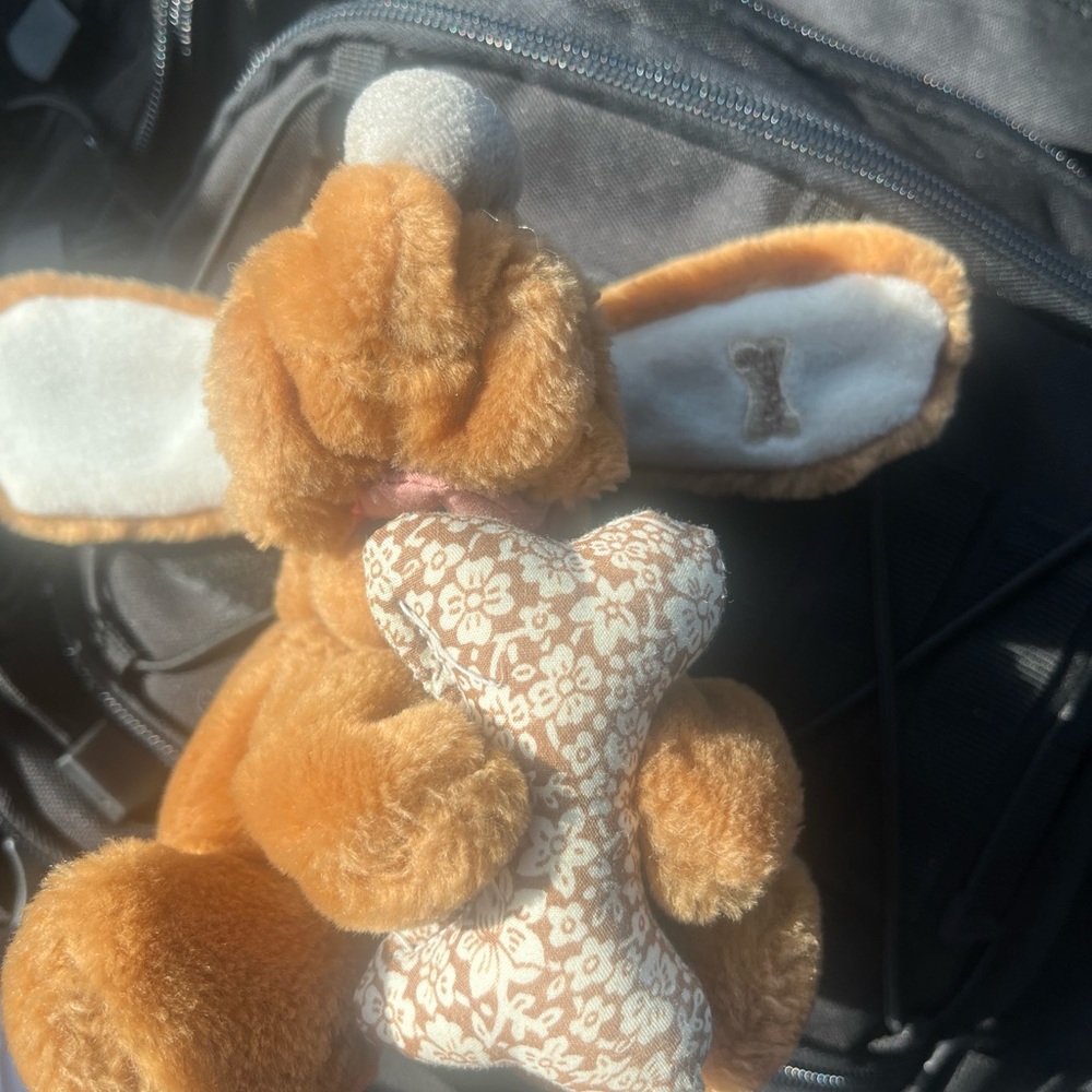 Vintage 1986 ganzbros plushie dog holding his bone